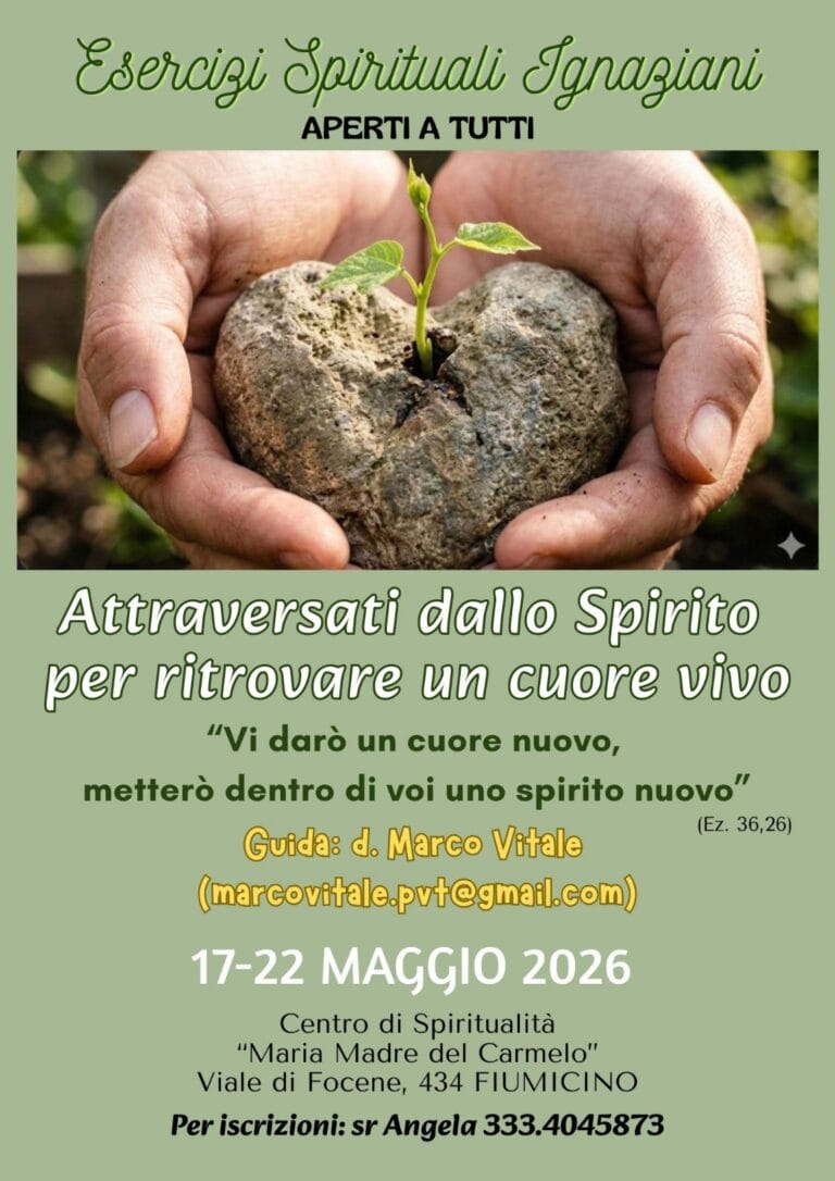 647549891_1336204505213216_4905124253175253045_n