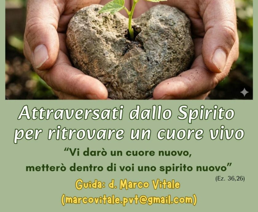 647549891_1336204505213216_4905124253175253045_n